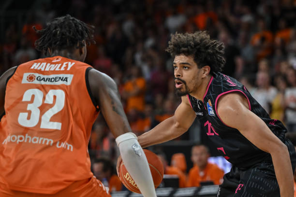 术多样性 术多样性